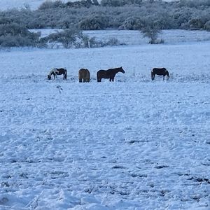 Meet your Posher, Cody